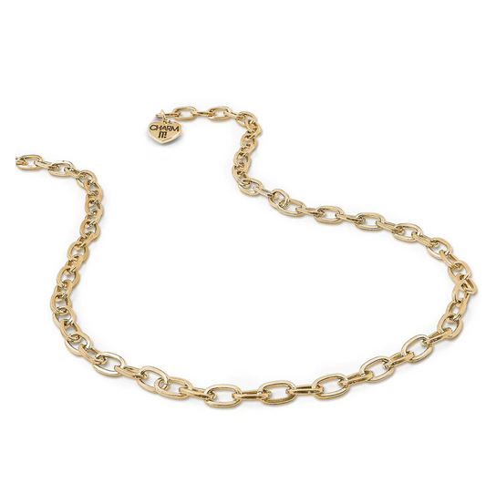 Charm Gold Necklace