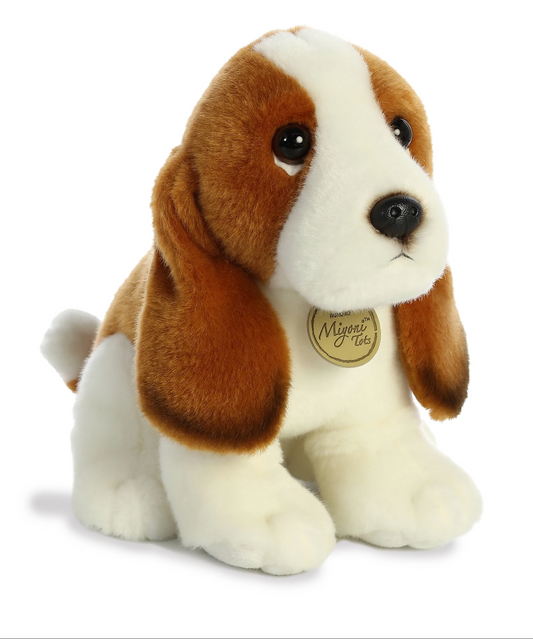 Basset Hound Puppy